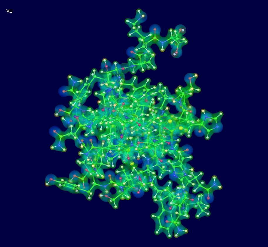 insulineIsoSurface.jpg